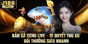 Ban Ca Xeng Live – Bi Quyet Thu Xu Doi Thuong Sieu Nhanh